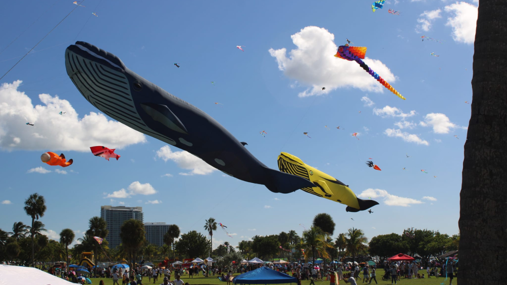 Skyward Kites Miami